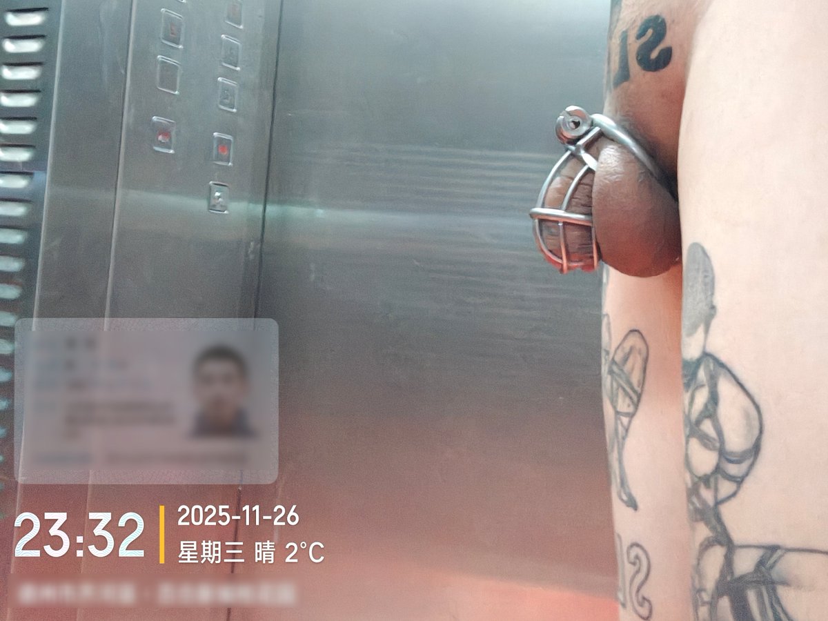 丢丢喵 tweet media