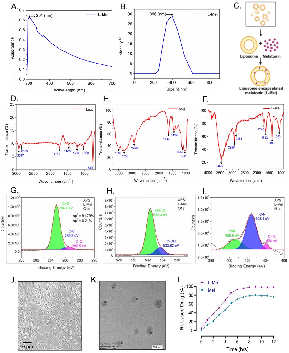rdshrestha88's tweet photo. 📢Our latest study in the @Wiley Journal of Cellular and Molecular Medicine showed Liposome-Encapsulated Melatonin is a promising therapeutic agent for reducing Amx-induced neurotoxicity in zebrafish #melatonin #Neurotoxicity @nirinepal @chettinad_univ https://t.co/SCNvnA5SNH https://t.co/ONNVOdD7zG