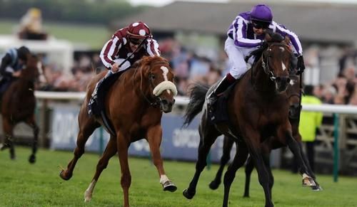 reallegalwiki's tweet photo. The Delhi High Court has refused interim relief to horse owner Ravinder Pal Singh Chauhan, who sought to restrain the Delhi Race Club from enforcing its ‘family unit’ cap for the 2025–26 racing season. 

Read more: https://t.co/ADiXpCDIuw https://t.co/McHncAyqvf