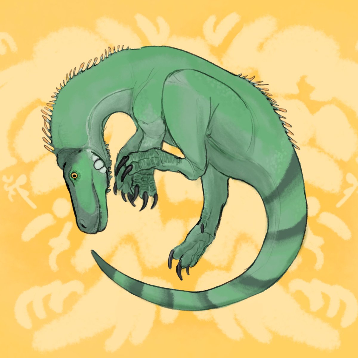 SrTreecat's tweet image. Iguana looking Herrerasaurus.
I wasn&apos;t sure about the background, so I posted my usual gray background as well.

#dinosaurs #paleoart #herrerasaurus