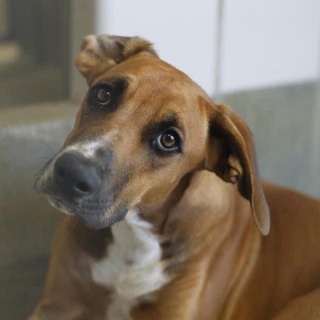 Lisa Brabson. tweet media