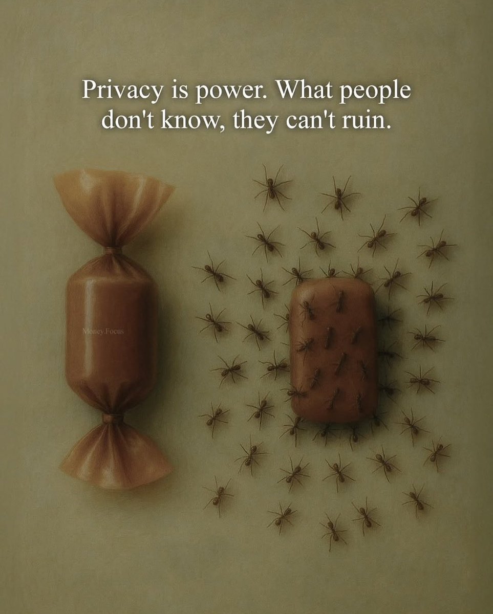 pallnandi's tweet image. The power of privacy…