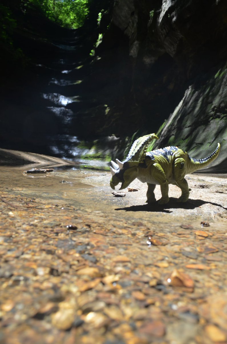 JMaloneActs's tweet image. Chasmosaur Chasm

@JurassicWorld

#JurassicPark #Chasmosaurus #JurassicParkDinosaurs #Kenner #IslandsofAdventure #Retro #ToyPhotography #StarvedRock