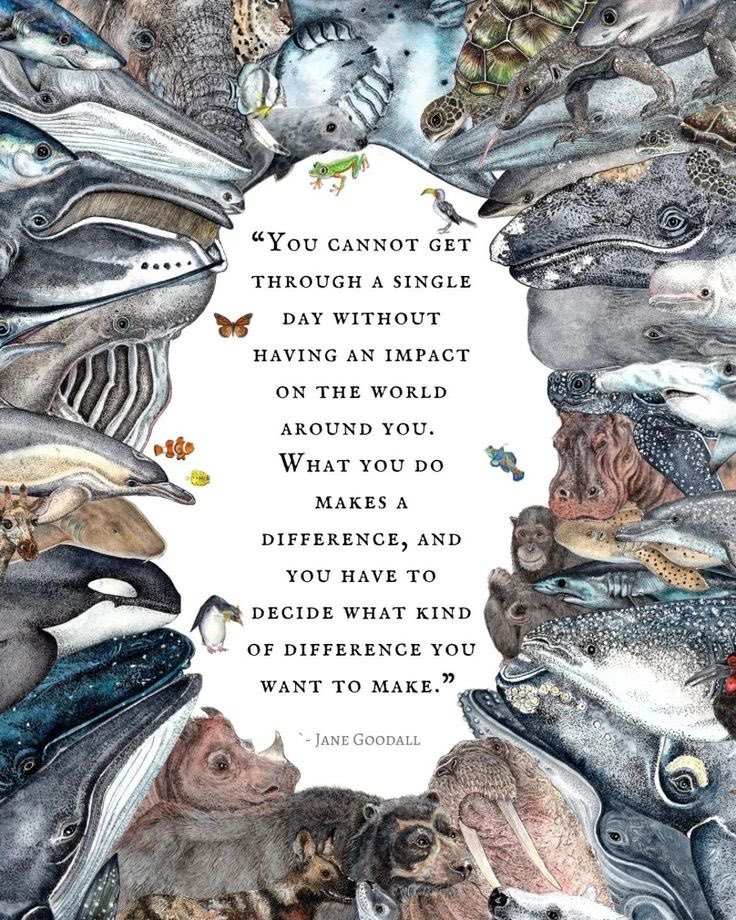 wilson_hurley's tweet image. Compassionate insight helps you be the kind of change you want to see in the world, compassmethods.com. youtube.com/@compassionsco… #change