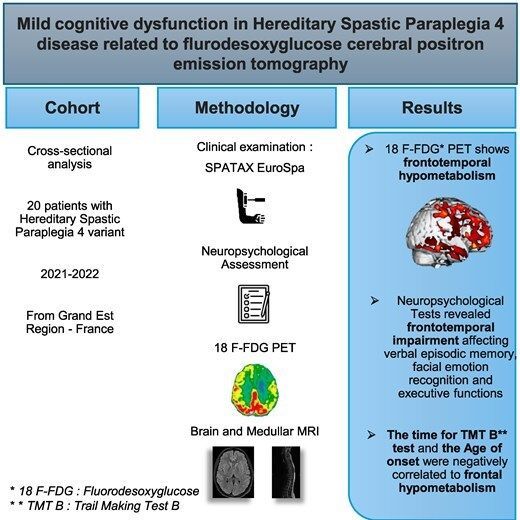 braincomms's tweet image. Autosomal dominant spastic paraplegia type 4 (SPG4, SPAST gene) is a pure phenotype with progressive spastic weakness of the lower limbs. Miroglio et al. show mild cognitive dysfunction in a cohort of 20 SPG4 patients with frontotemporal hypometabolism 👉 buff.ly/KM48TXG
