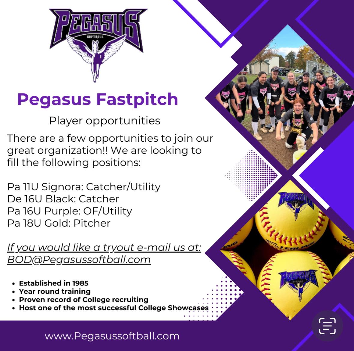 Pegasus Fastpitch tweet media