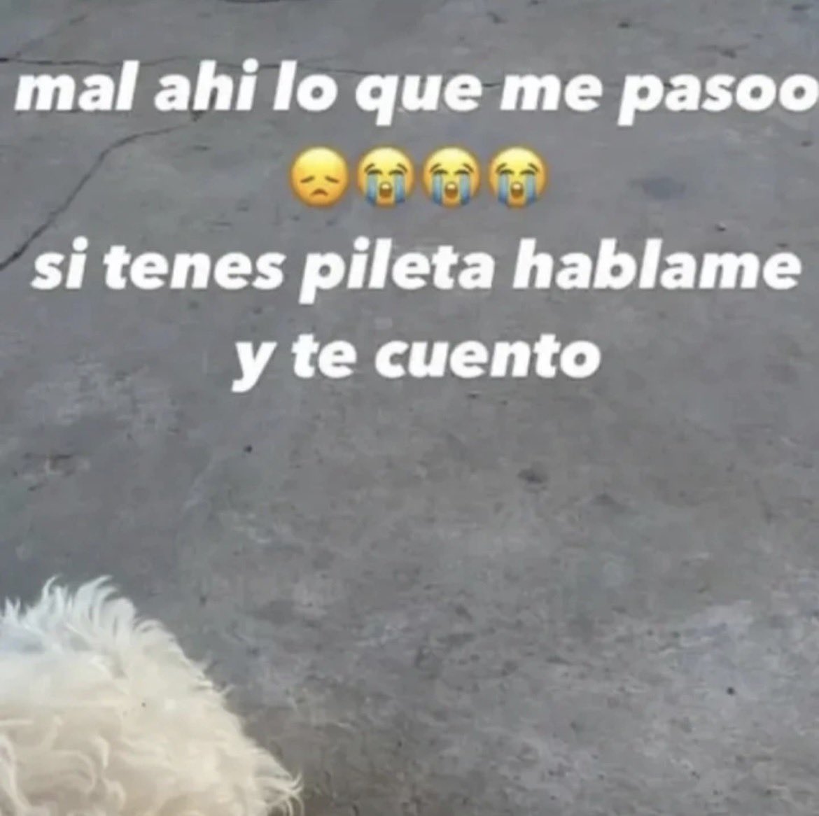 celes 🇫🇮 (@bycceles) on Twitter photo 