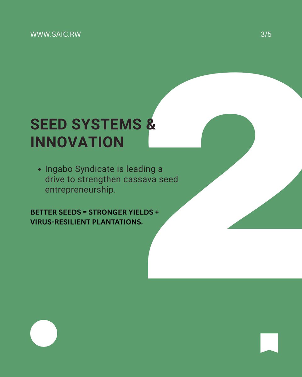 SAIC Rwanda tweet media