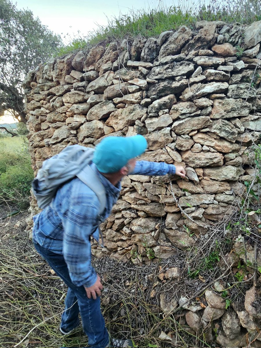 ADHSO1's tweet image. La proposta d&apos;ADHSO serà la d&apos;acompanyar-vos a explorar un patrimoni rural gens menyspreable, doncs el que amaguen aquestes construccions de pedra seca, tan aprop de casa, són lliçons d&apos;història, de coneixement del medi, d&apos;aprofitament de recursos, de saviesa centenària.
