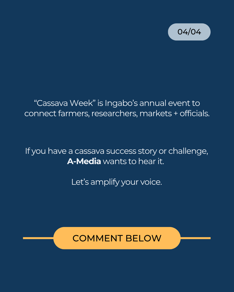 AgritvRwanda's tweet photo. This week, we spotlight how @INGABOSYNDICAT1 and smallholder farmers are driving change, from seed innovation to production.
Do you have a cassava story to share? Message us, we’d love to feature you.
#AMediaRwanda #CassavaWeek #FarmersVoices #CassavaInnovation https://t.co/u1BQagaRKB