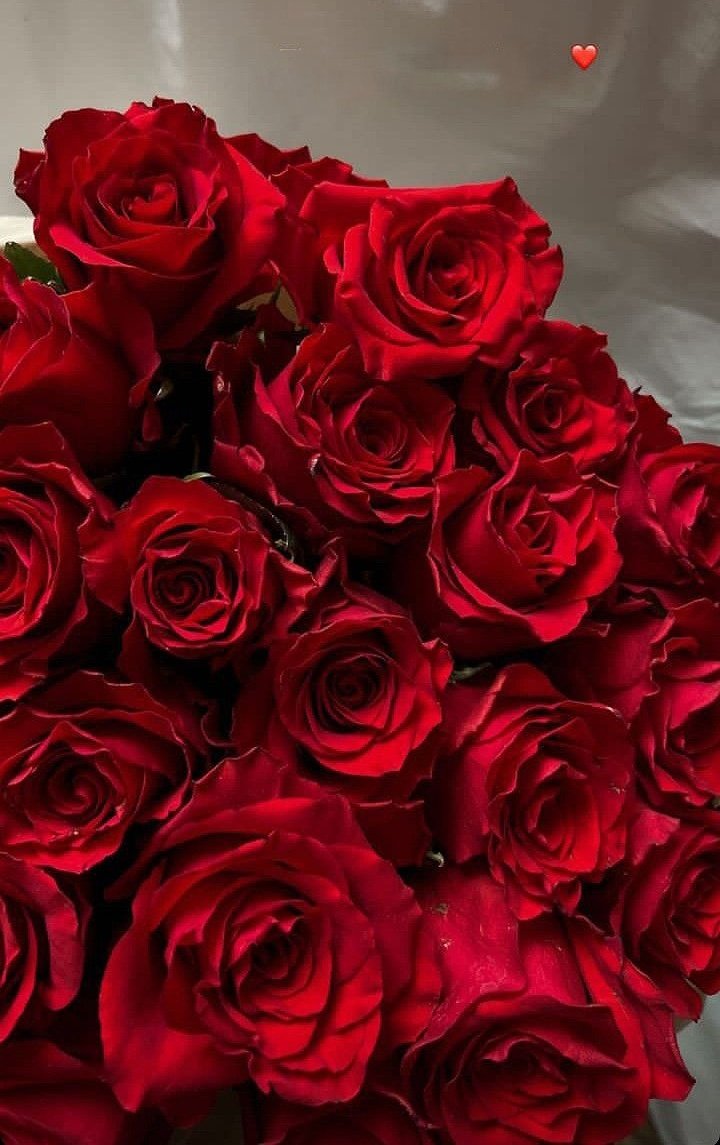 lavidaaesbella_'s tweet image. Hoy baila esta preciosa le deseo todo el éxito del mundo y que todo le salga excelente. Gracias por ser tan buena amiga con mi gatito Aaron❤️ @briggi_bozzooo

BRIGGI BAILA EN LEBEH