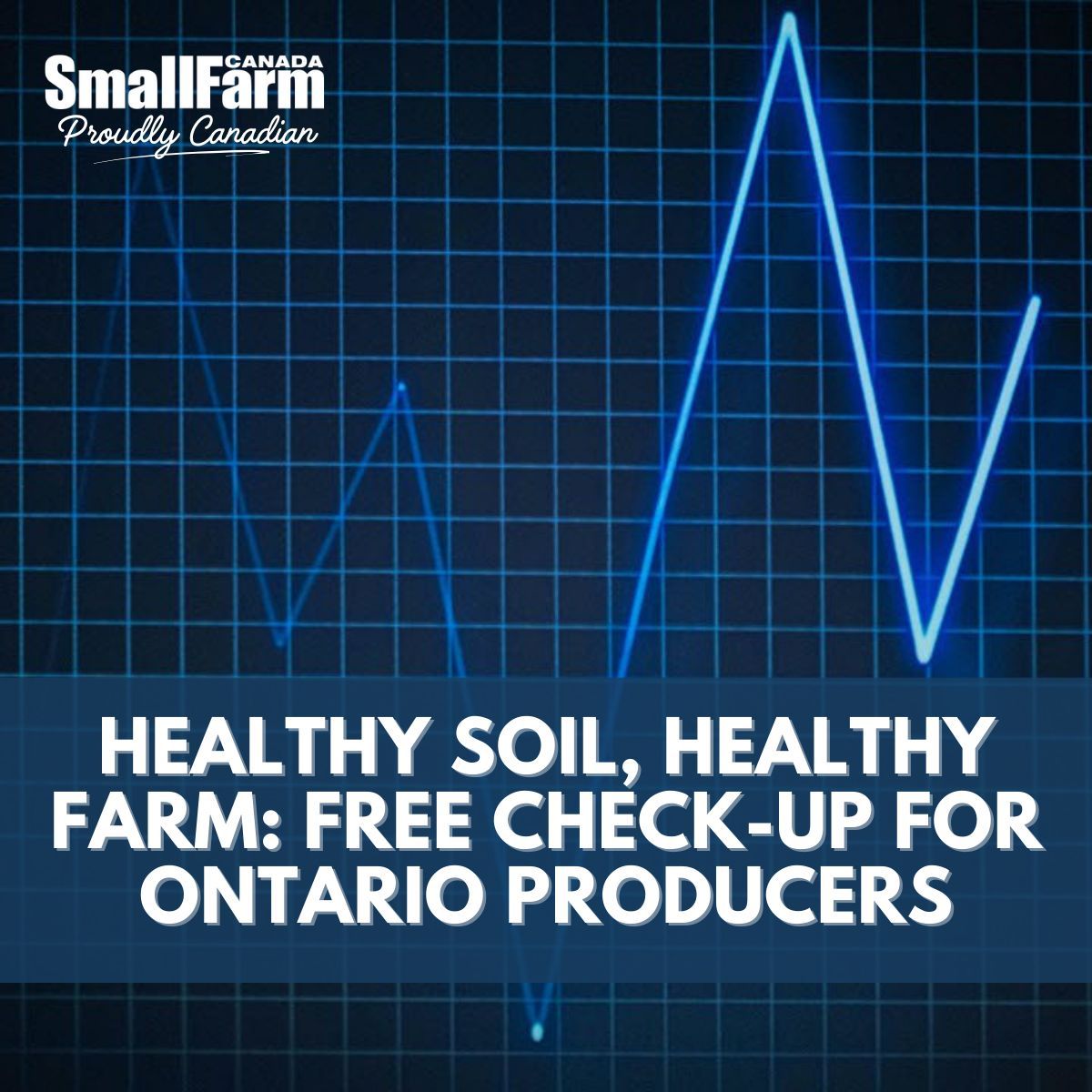 Healthy Soil, Healthy Farm: Free Check-Up for Ontario Producers.

A simple, no-cost program helps small farms improve soil health and sustainability. 

Get your farm a health check ⤵️ 

smallfarmcanada.ca/news/healthy-s… 

#SmallFarm