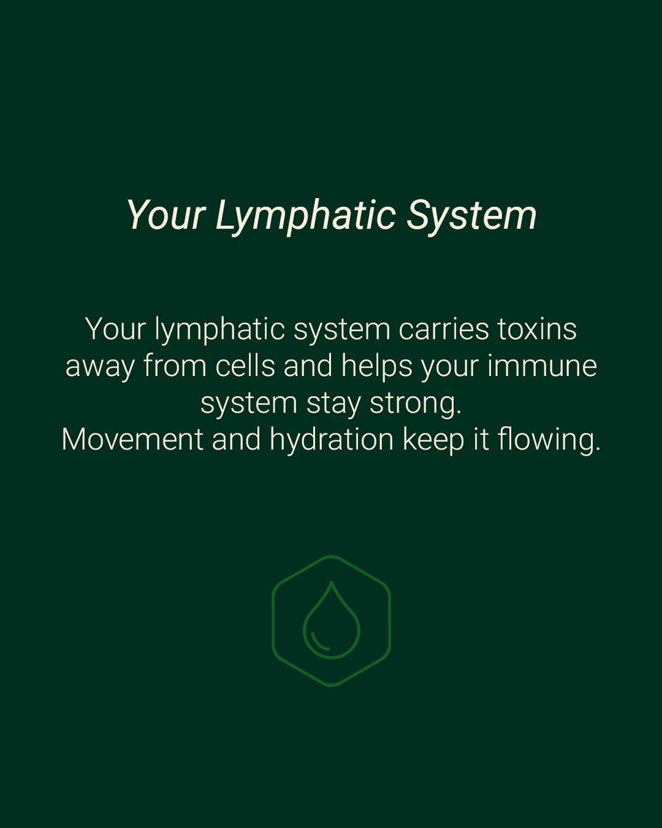 dherbs's tweet image. A healthy lymphatic system helps keep things flowing—movement, hydration, and herbs can all play a role. ✨ #LymphaticSupport