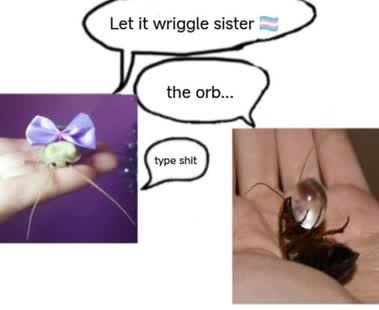 shadoo🪲🇵🇸(silly creature enjoyer) (@shadoocreature) on Twitter photo 