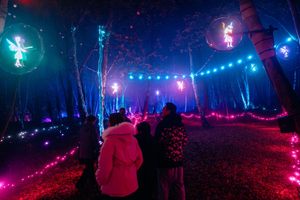 🌟 Lose yourself in the glow of Windsor’s magical woodland 🧚🏻 

#WindsorIlluminated