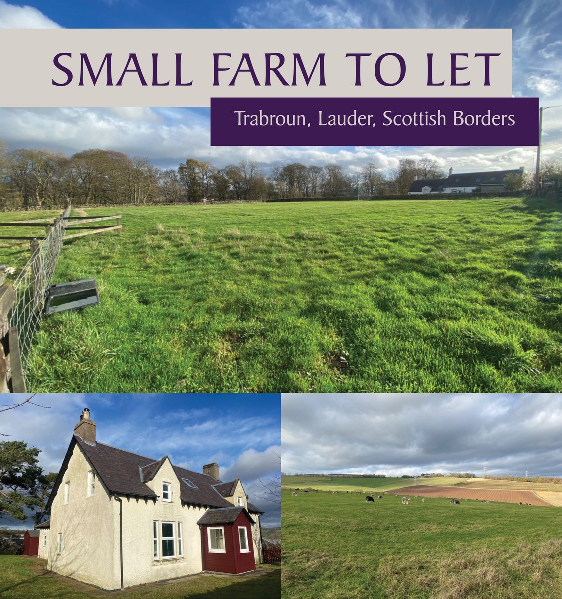 📍 Trabroun, Lauder, TD2 6PZ

For Let on a 5 year Short Limited Duration Tenancy (SLDT) with a 2 year break clause
Viewings strictly through Letting Agent on either 1st or 5th December – e.hall@edwin-thompson.co.uk
Tender Offers Over £15,000 per annum

🔗loom.ly/jCuzC8Y