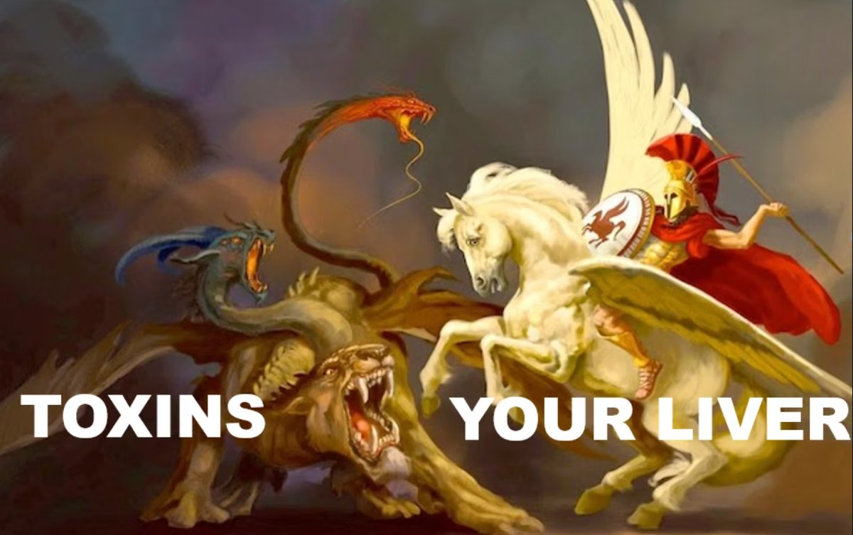 Nutrition Detective 🔍 - Dr. Garrett Smith tweet media