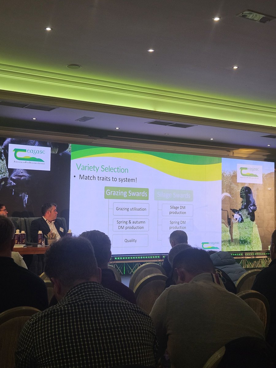 patrick cashman tweet media