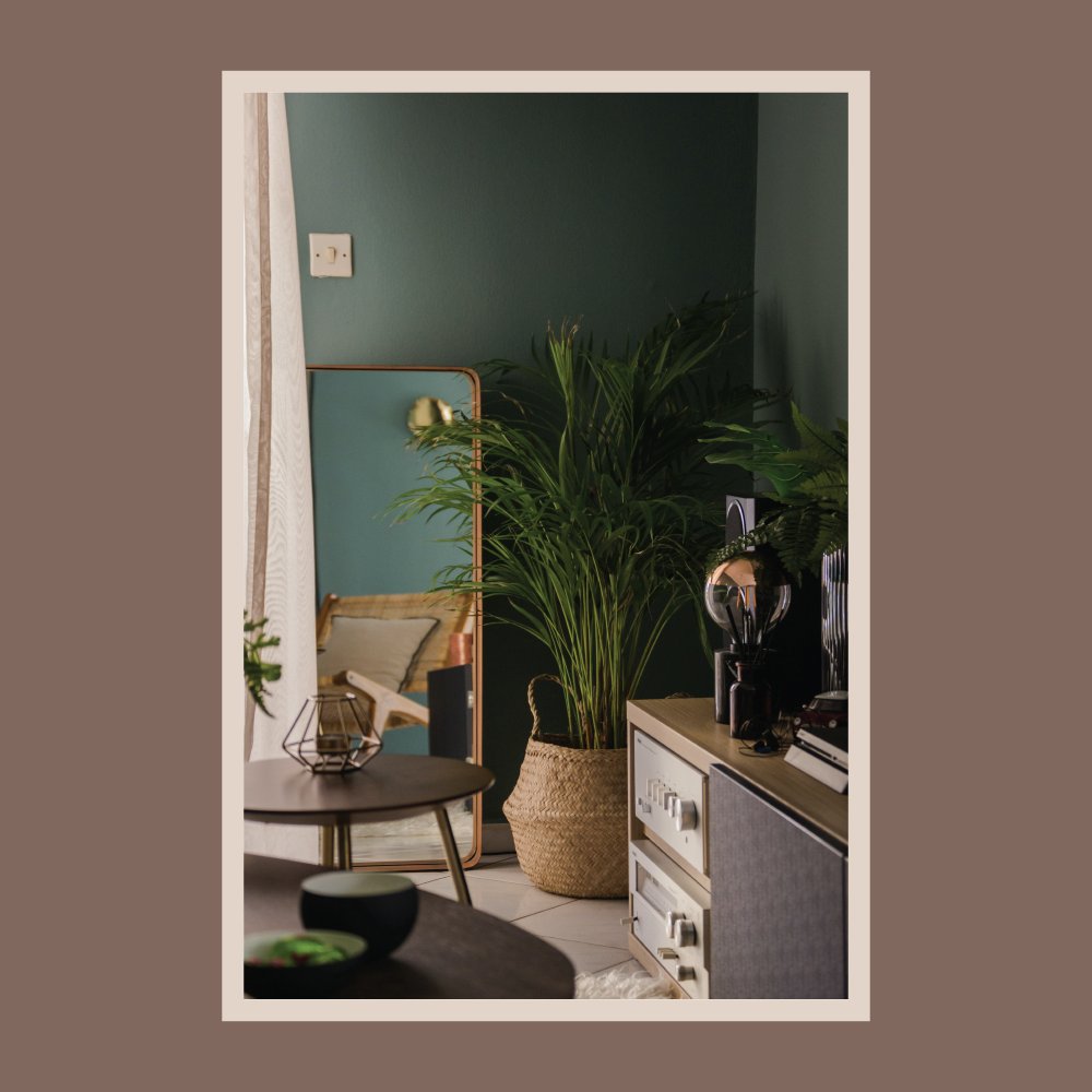 Robythompson5's tweet image. Enhance your home with potted plants! They&apos;ll create a livelier atmosphere with a pop of vibrant color.
Work with the best!