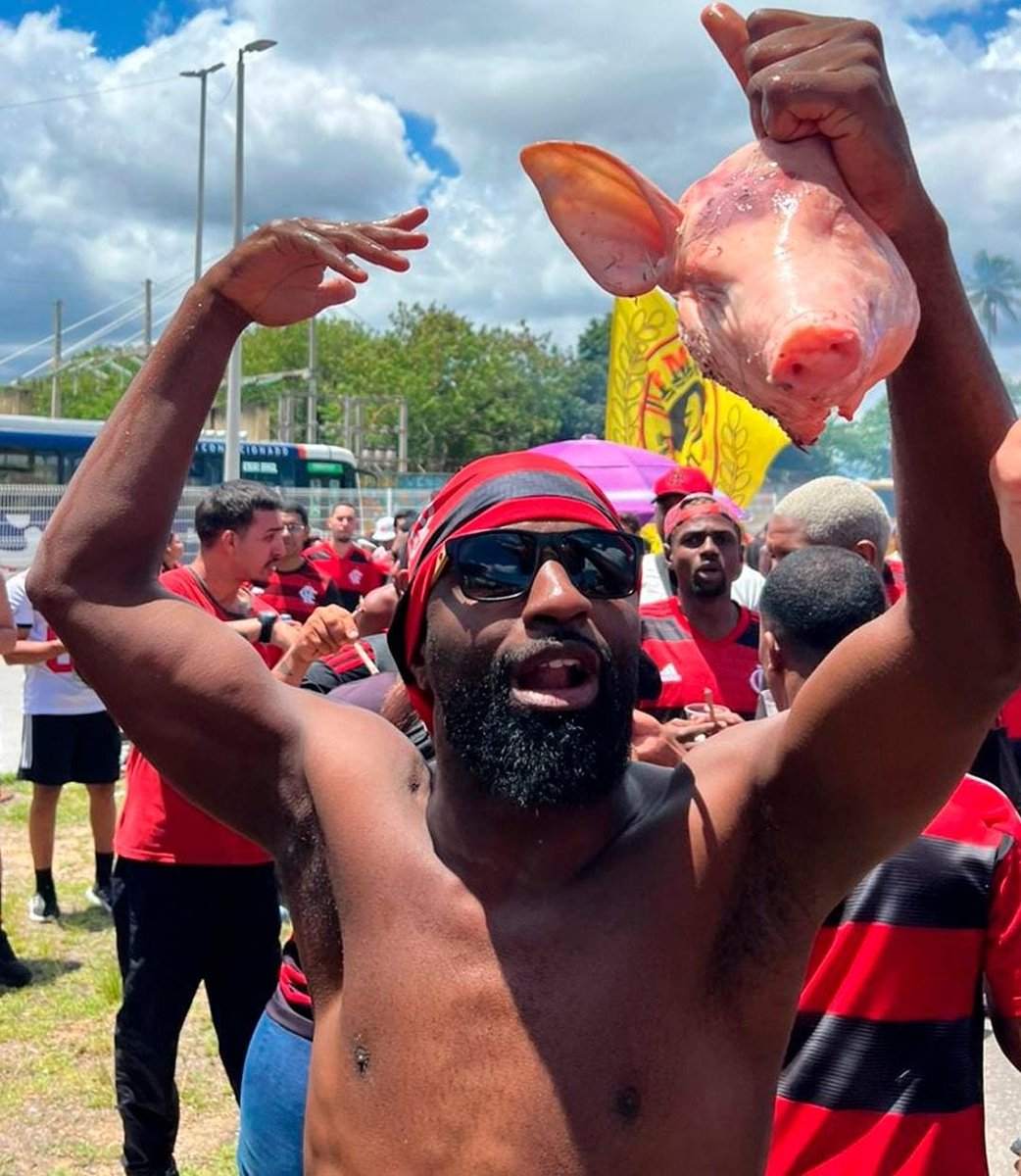 centraldanacao's tweet image. 🔪 🐷