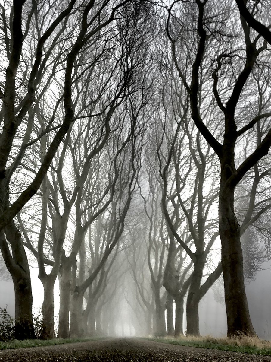 De ganse dag hè, don’t mist.