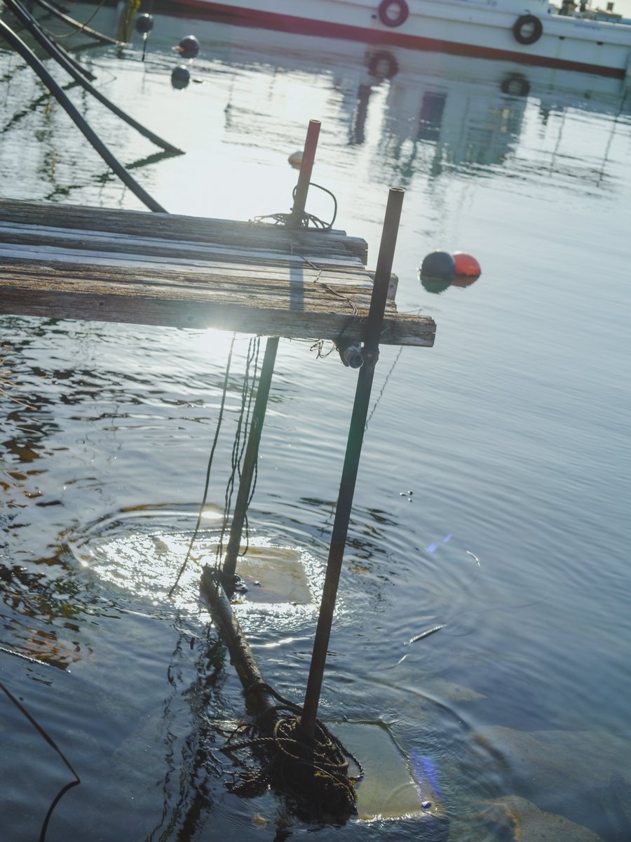 小豆 azuki Still,life東京巡回展 (@79mg_photo) on Twitter photo 