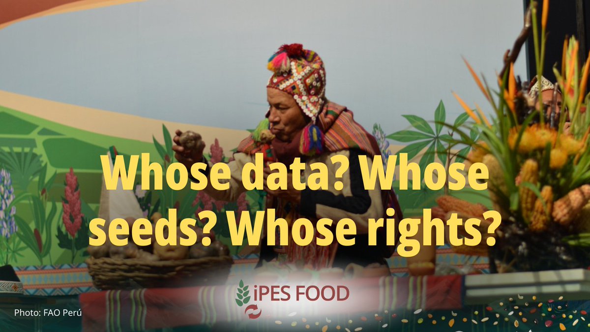 IPESfood's tweet photo. 🌱Who controls the future of seeds?
At #ITPGRFA talks in Lima, the inclusion of Digital Sequence Information (DSI) is a flashpoint.
🚨BigAg could patent farmers’ seeds as private data: no consent, no benefit sharing.
📢Bring DSI under the Treaty!
👉https://t.co/ee2tLuIr6I https://t.co/QGwaeLSqPm
