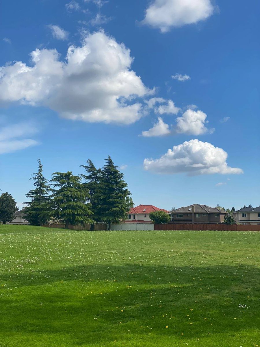 kizzie_lanora's tweet image. 🦆 Where the water is calm, the soul is calm. 😌
#LakeTherapy #NatureCalm #SerenityNow