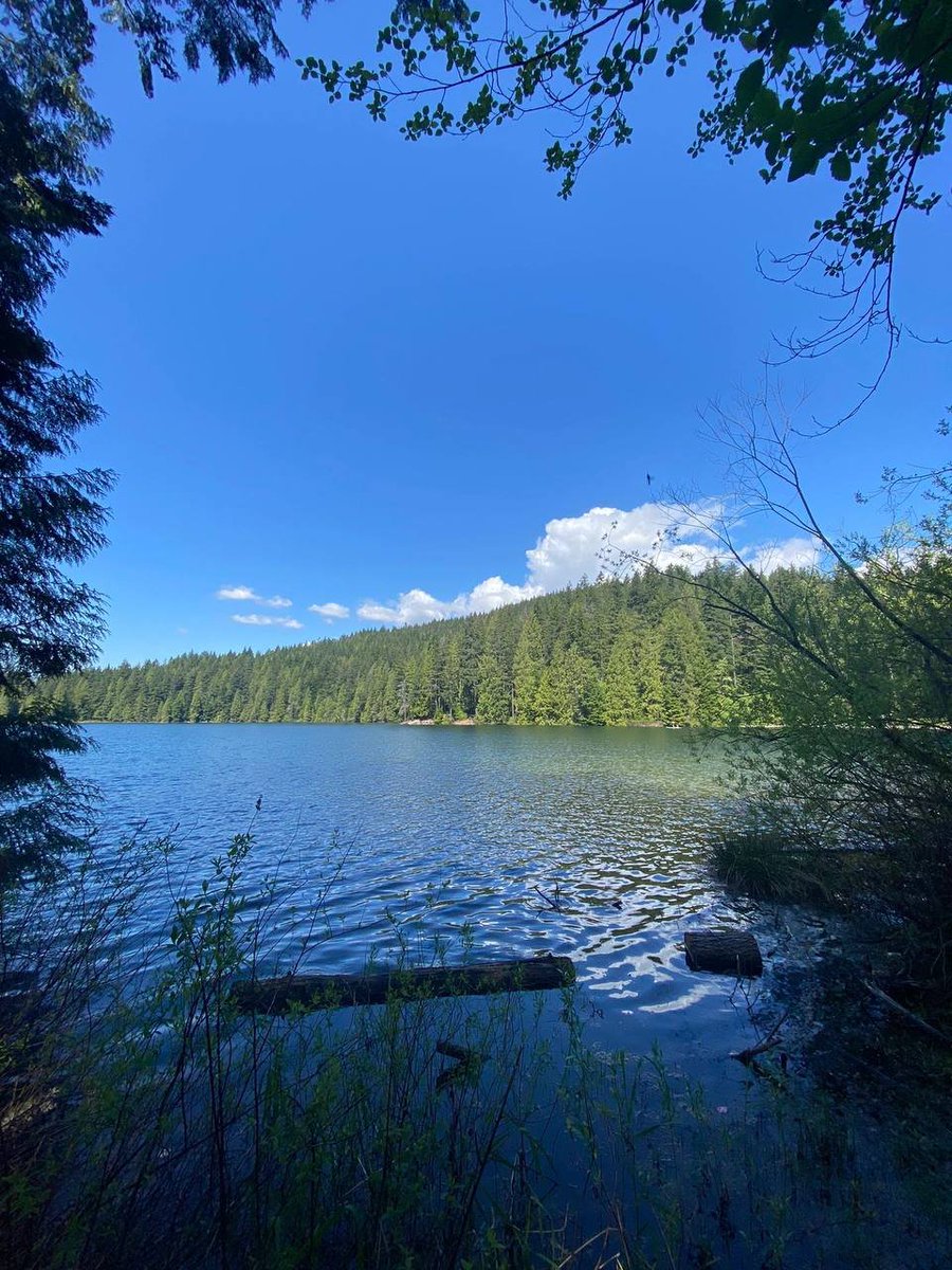 kizzie_lanora's tweet image. 🦆 Where the water is calm, the soul is calm. 😌
#LakeTherapy #NatureCalm #SerenityNow