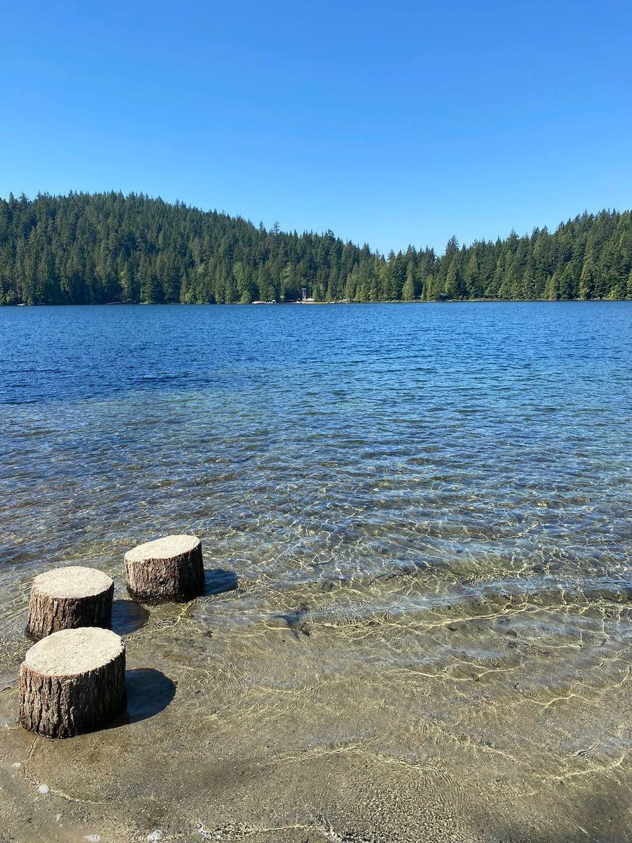 kizzie_lanora's tweet image. 🦆 Where the water is calm, the soul is calm. 😌
#LakeTherapy #NatureCalm #SerenityNow