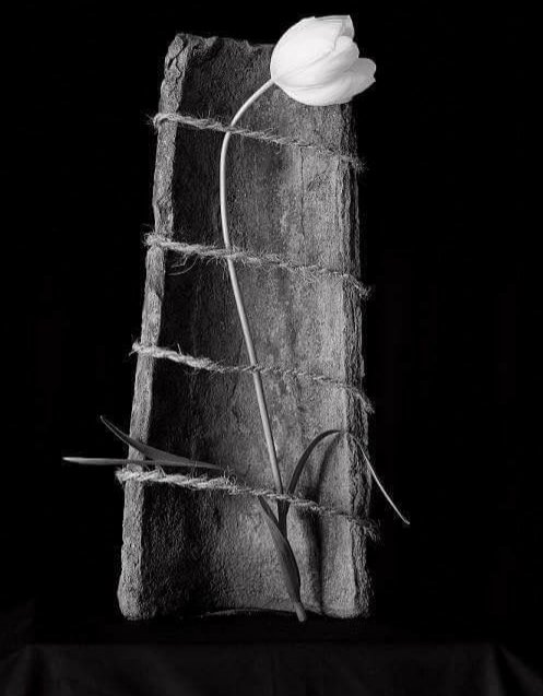 yaşam,
özlediğimiz ölülerin ve 
yüzünü görmek istemediğimiz 
dirilerin hikayesidir

#geceye