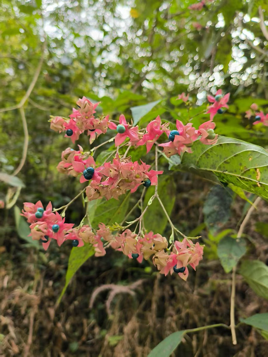 wdr2oversea (@wdr2oversea) on Twitter photo 