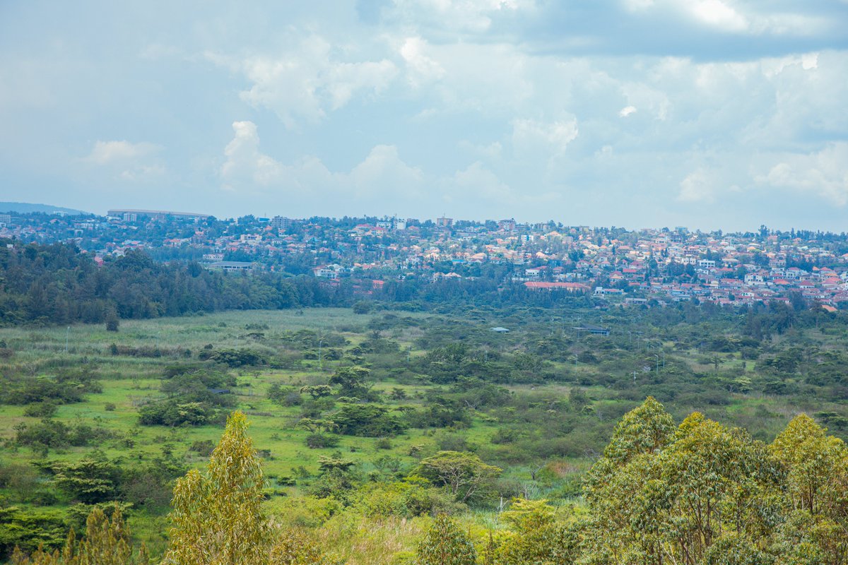 ARCOSNetwork's tweet image. We are excited to announce that @ARCOSNetwork signed a Memorandum of Understanding (MoU) with @nyandungupark , Kigali’s flagship restored urban wetland and eco-tourism site. This partnership marks a significant step to  keep promoting nature-based solutions in urban landscapes.