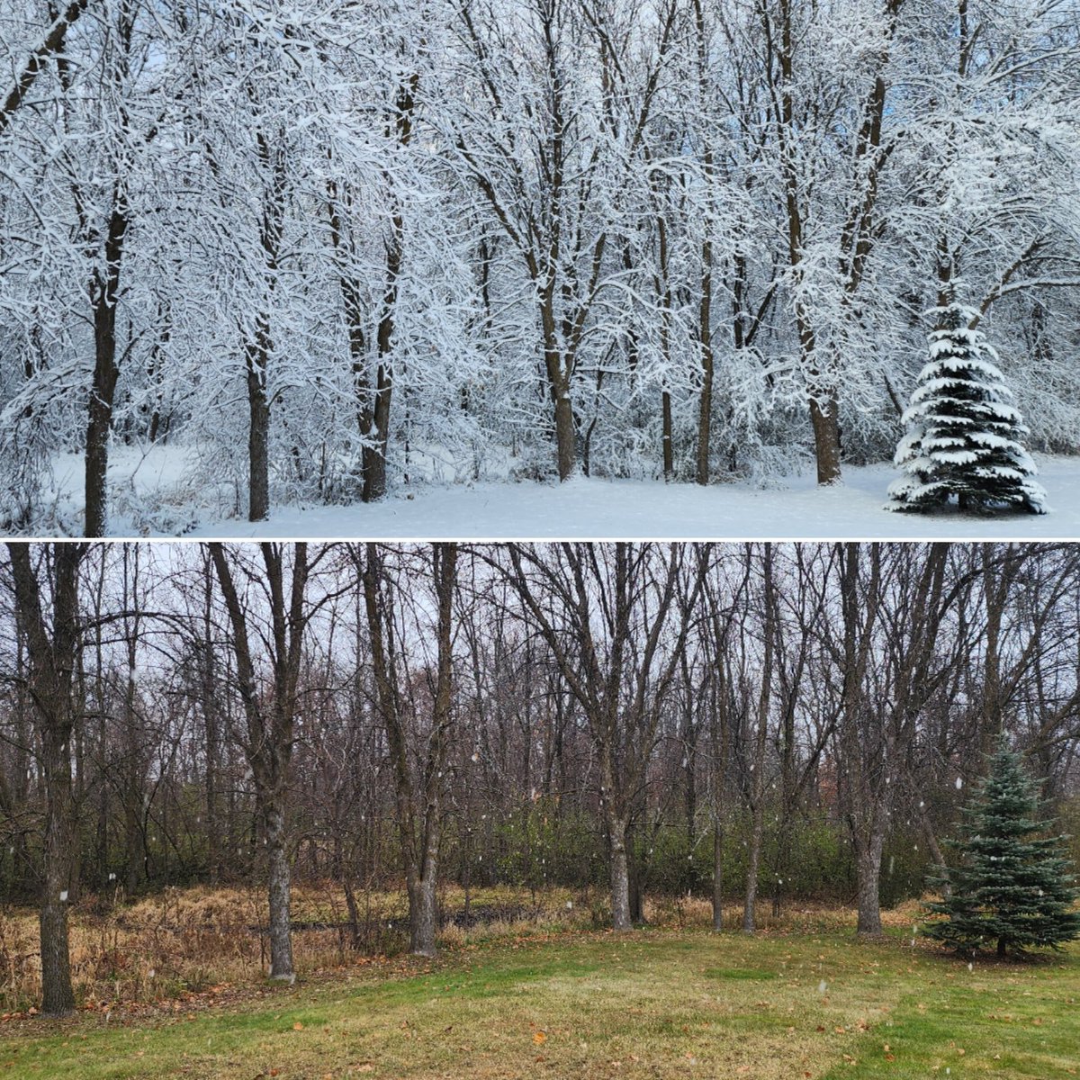 11 am today
11 am yesterday
6" to 8" of heavy, wet snow
Feels a bit drastic to me

#MNwx #SnowGlobe but not a #Snowpocalypse