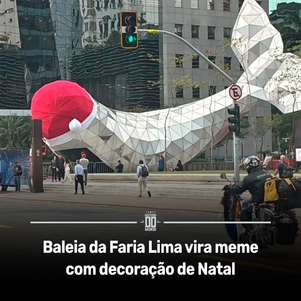 Olha que o Bolsonaro já respondeu por perturbar baleia, não cometam o mesmo erro !