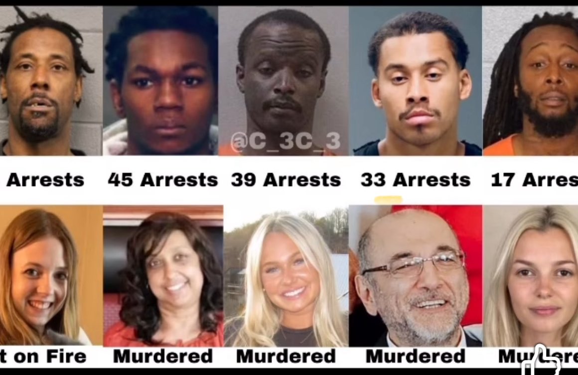 Timothy Golderod tweet media