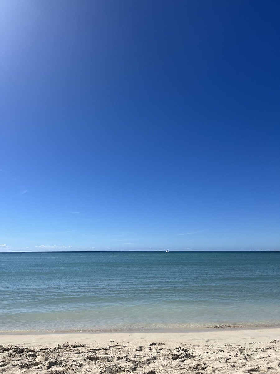 sometimereader tweet picture