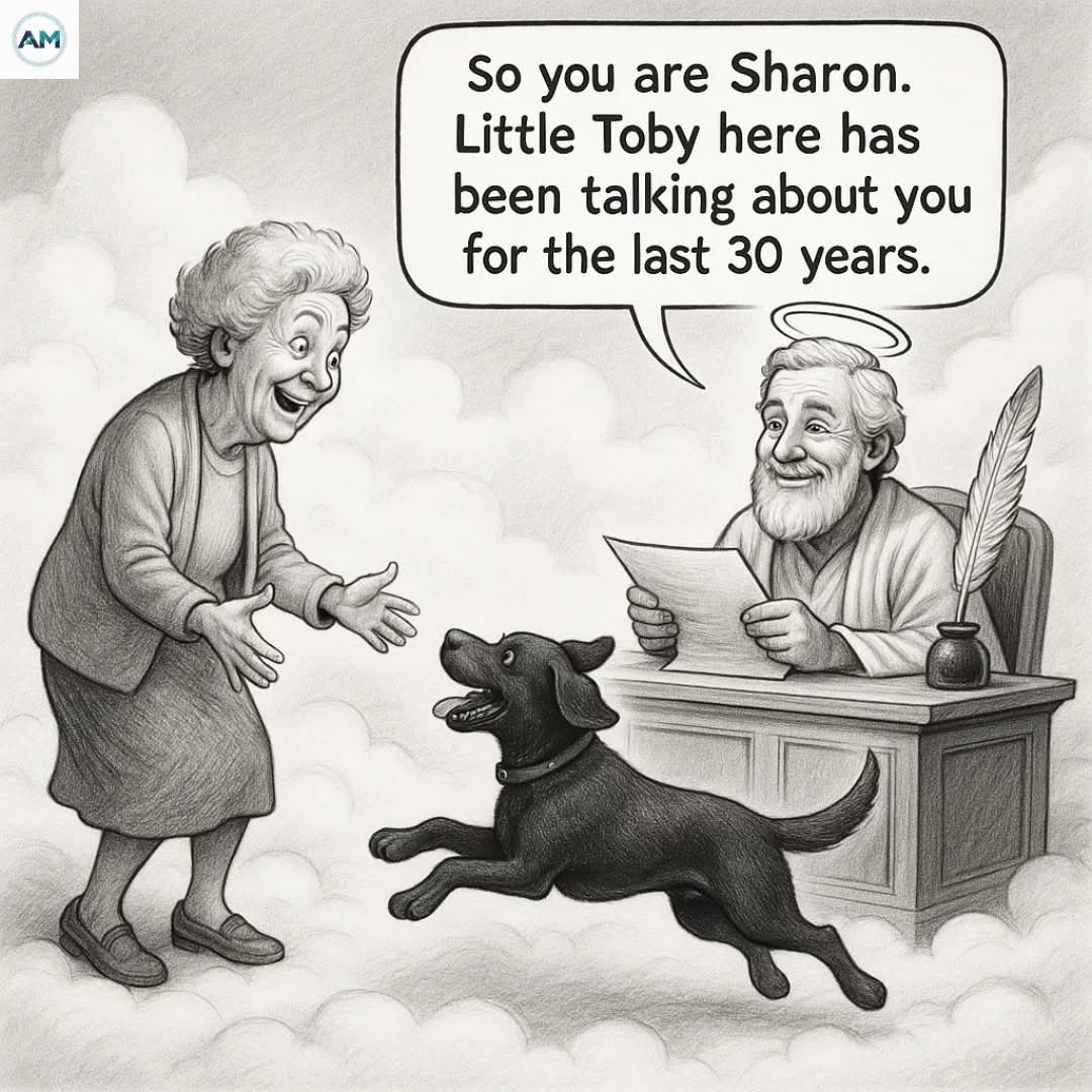 Mikehomeseller's tweet image. Do you believe dogs go to heaven?

#mikesquestions