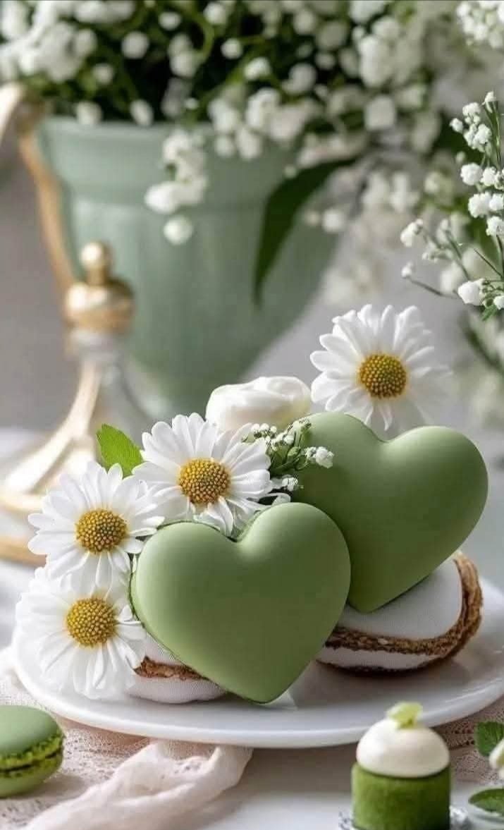 حين تتقلب حياتنا دون أن نملك قرارها،
تجبرنا الظروف على السير في طرق لا تشبه قلوبنا،
فنكتشف أن الصبر مهارة، والتأقلم فن،
وأن القوة الحقيقية تكمن في الاحتفاظ بذاتنا رغم كل ما لا نختاره،
فكل تجربة، مهما كانت قاسية، تصنع منّا نسخة أعمق، أكثر حكمة، وأكثر صفاء 🩵