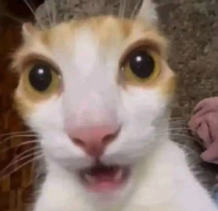 Anon_coder03's tweet image. DAY 88-94: Finally completed building and learning authentication system. It blew my mind and yep i found it little hard but i am surprised that we don&apos;t need to build auth from scratch we can use services like clerk . 

See you next time .
#100DaysOfCode #buildinpubic