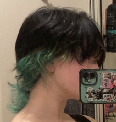 Ieatedthegrass1's tweet image. Why can&apos;t i capture my hairs cuntyness in a photo 💔

Hair (and eye ig) reveal