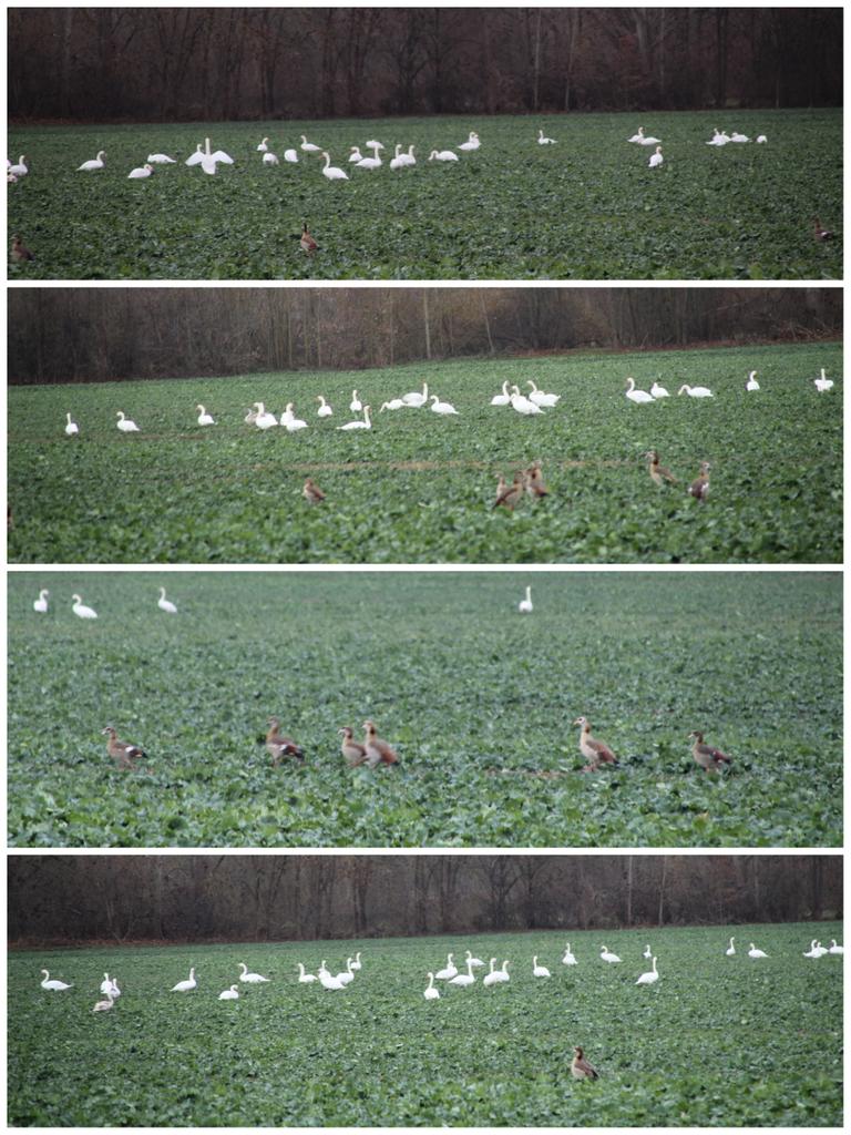 Unterwegs entdeckt 😊