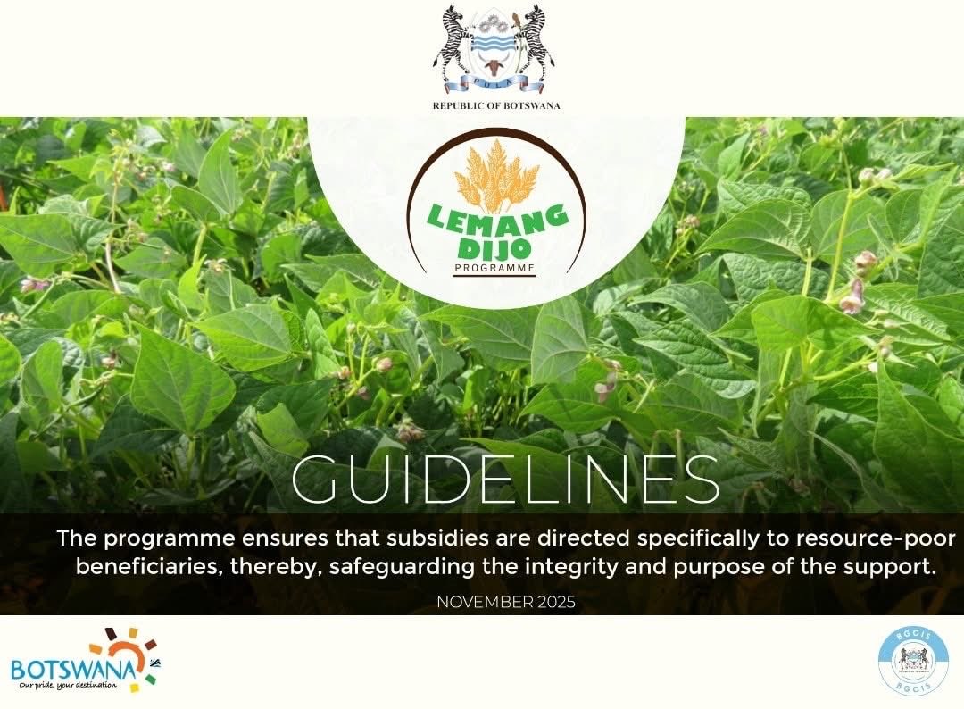 Packer M tweet media