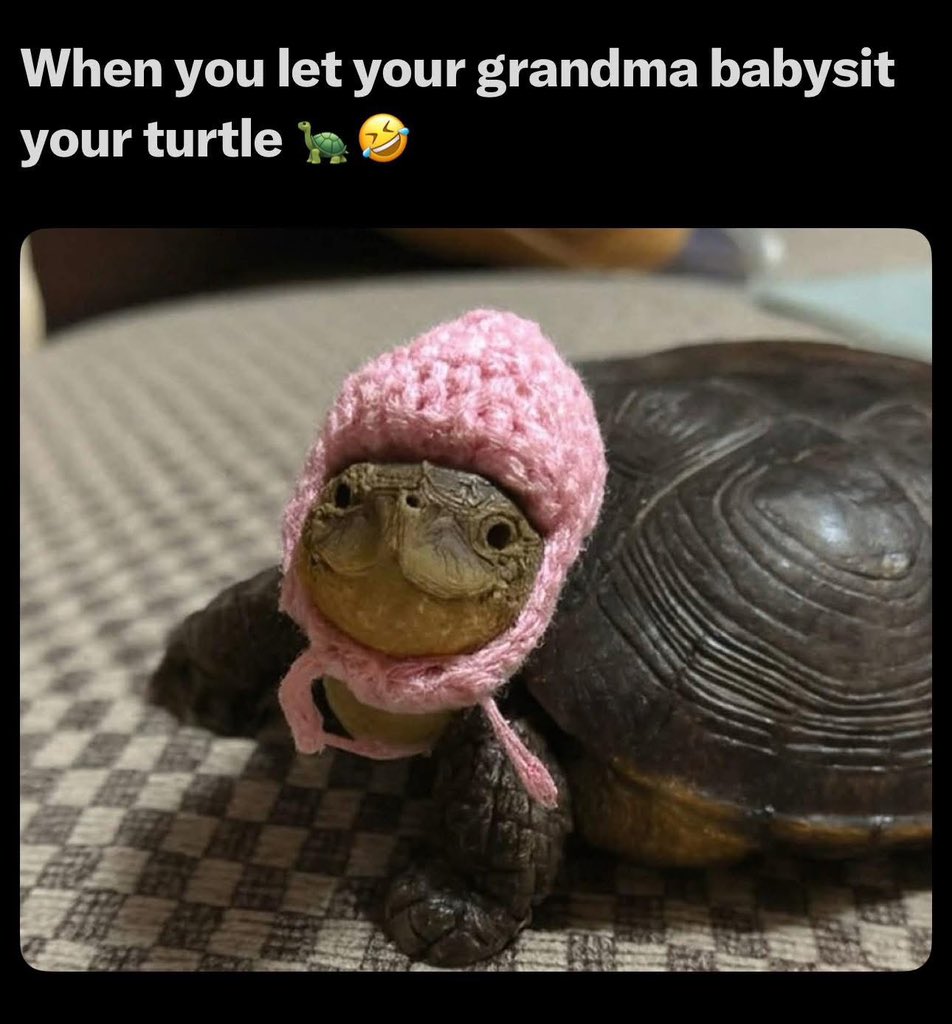 I love how happy she looks with herself. 😊🖤