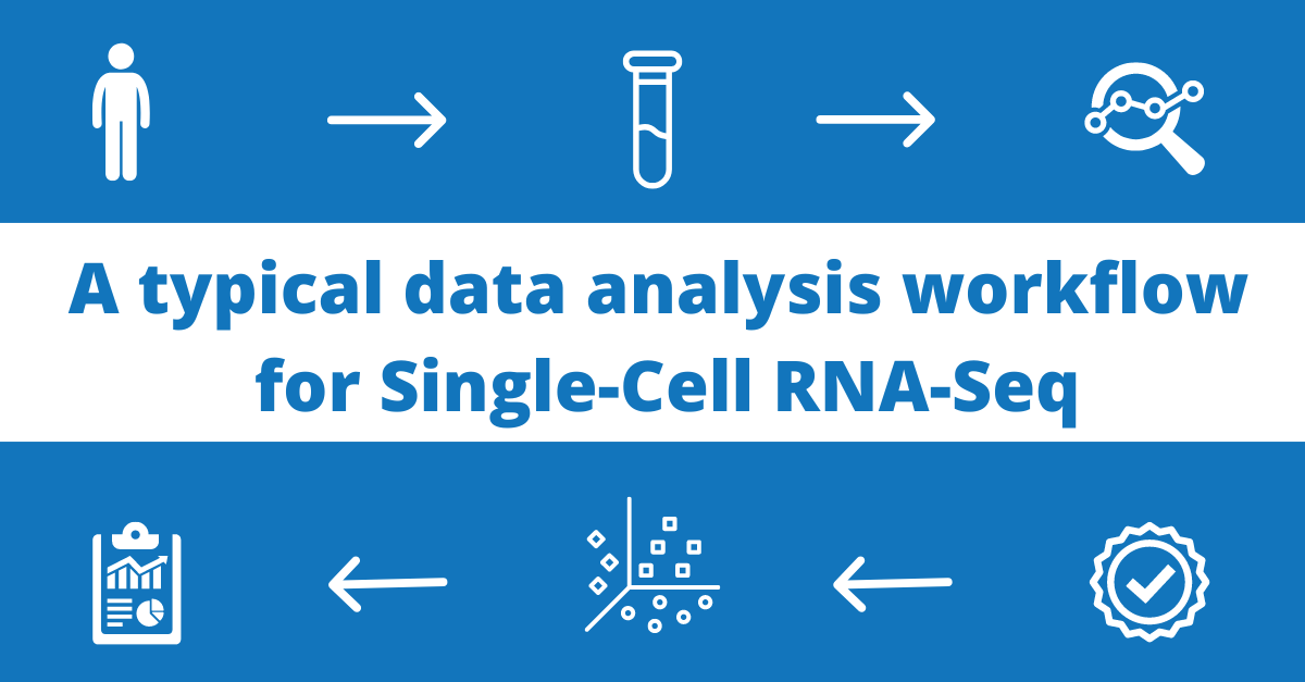 fiosgenomics's tweet image. Working with single-cell RNA-Seq data and wondering where to start with the analysis?
This blog includes the main steps:
fiosgenomics.com/single-cell-rn…
#bioinformatics  #omics #singlecell #scRNAseq