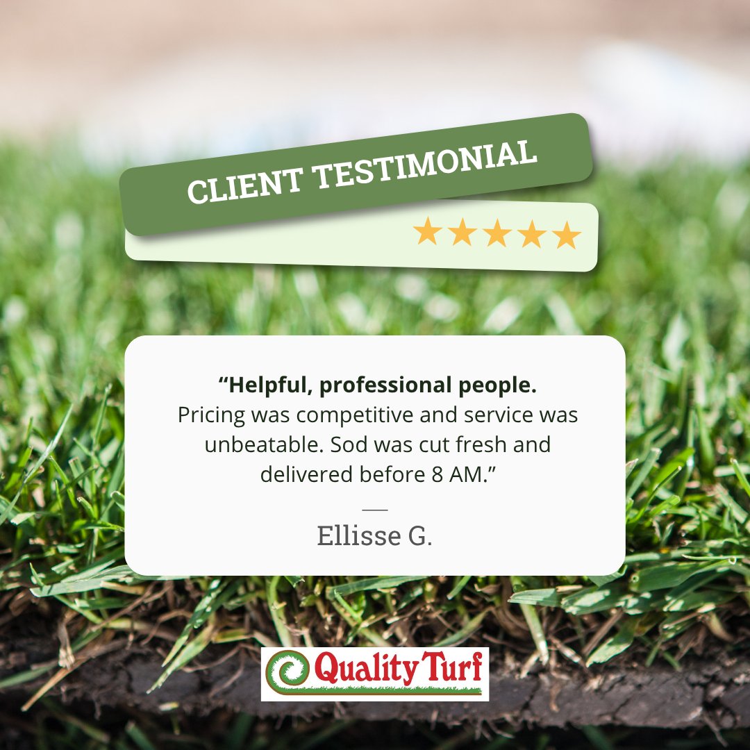 “Helpful, professional people. Pricing was competitive and service was unbeatable. Sod was cut fresh and delivered before 8 AM.” — Ellisse G.

📞 951-654-7721 | ✉️ sales@qturf.com

#QualityTurf #SodProducers #ResidentialLawns #HappyClients #SoCalLiving