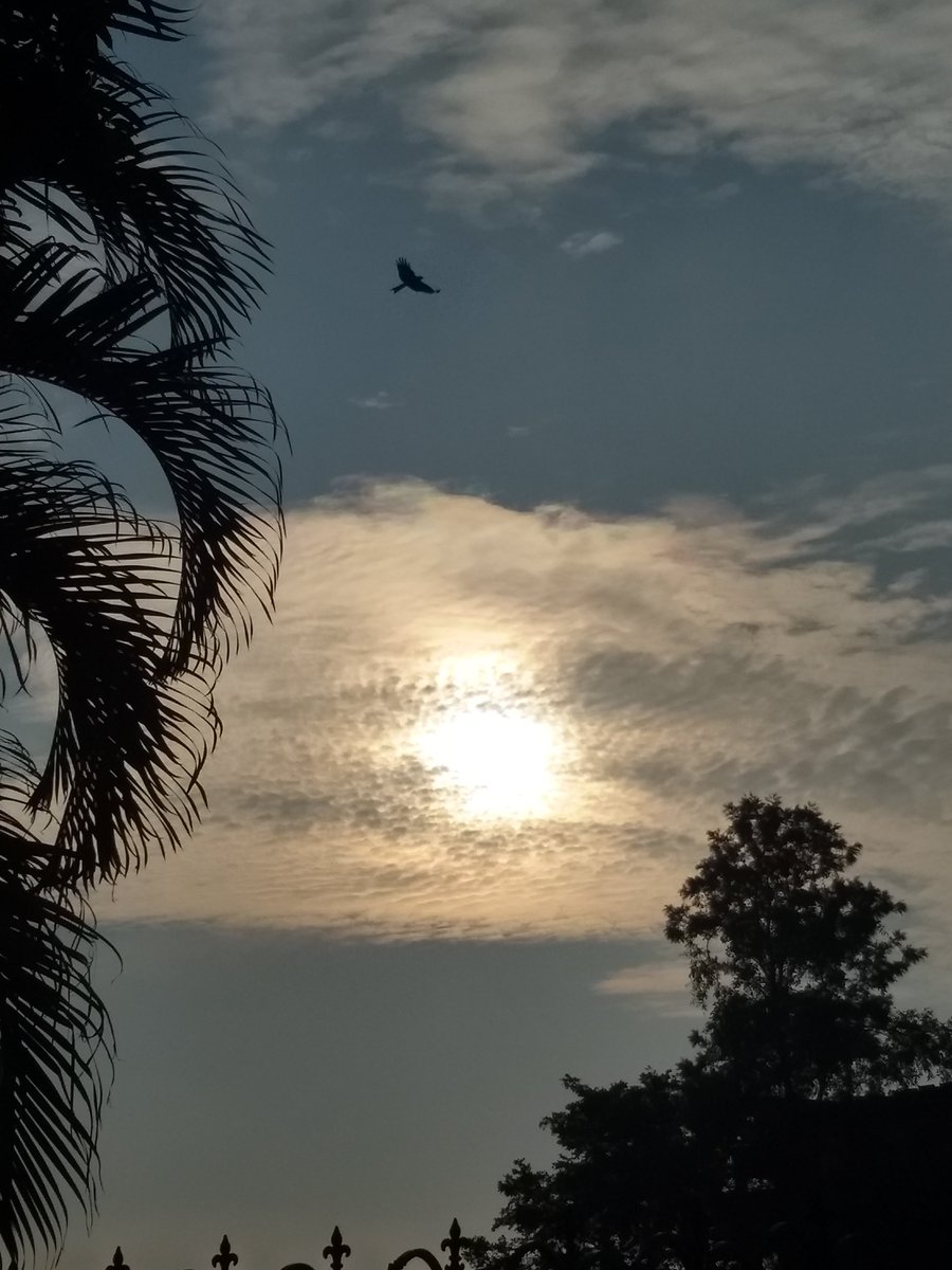 Stained glass painting in the sky artist mother nature 😊
#nature #photography #NaturePhotography  #Sky #Beautiful