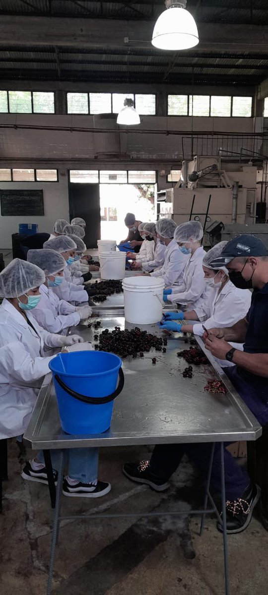 Ciencias Agrarias UNCuyo tweet media