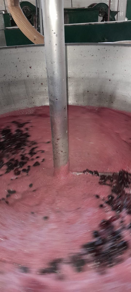 Ciencias Agrarias UNCuyo tweet media