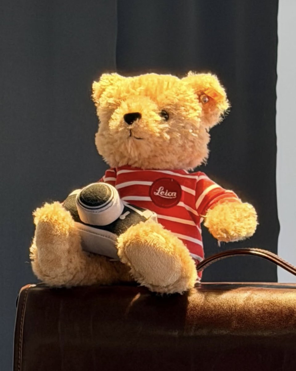 未使用 新品 シュタイフ for Leica Cuddle 11/26(水) 大森元貴Instagram Leica テディベア Leica シュタイフ for